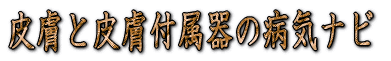 �畆�Ɣ畆�t����̕a�C�i�r 